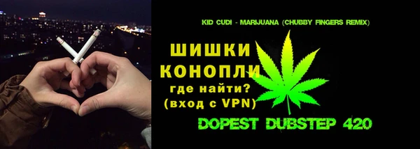индика Остров
