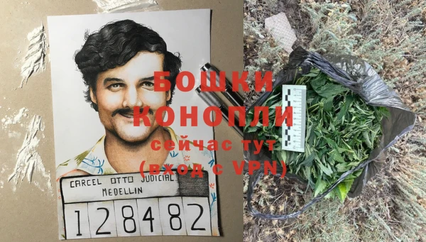 гидропоника Осинники