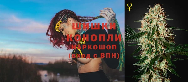 гидропоника Осинники