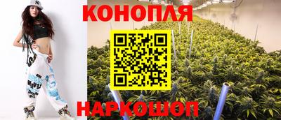 стафф Будённовск