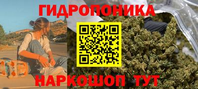 стафф Будённовск