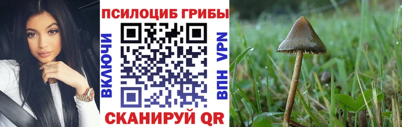 Псилоцибиновые грибы Magic Shrooms  blacksprut маркетплейс  Крымск 