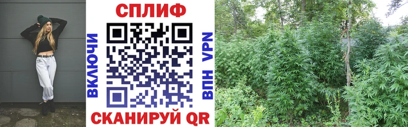 Шишки марихуана White Widow  купить закладку  KRAKEN маркетплейс  Крымск 